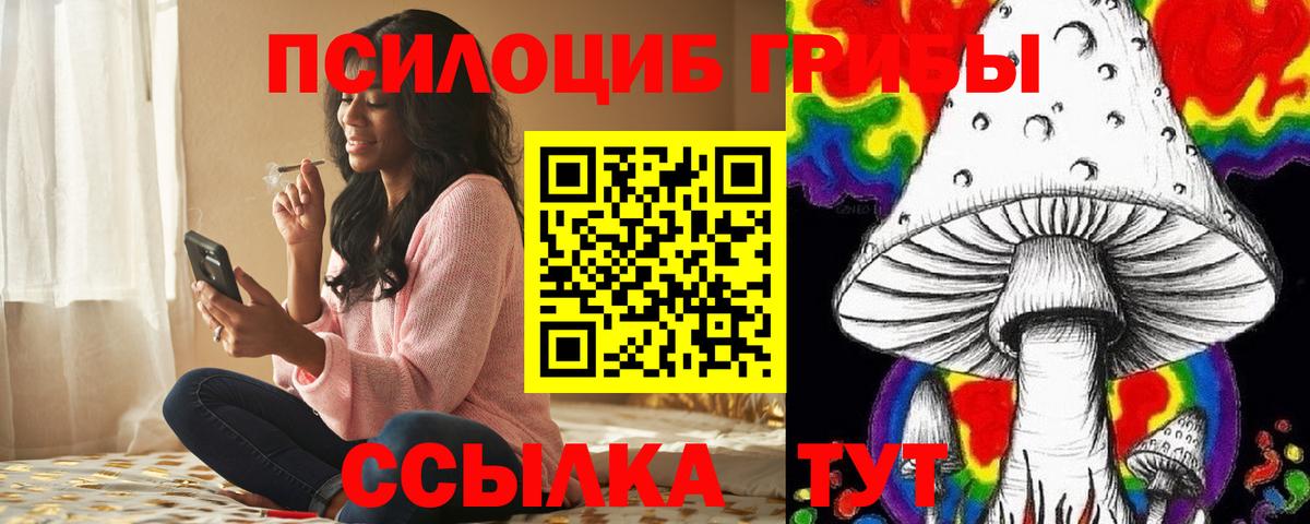 Кирово-Чепецк  Галлюциногенные грибы Psilocybe  Вход с VPN  Псилоцибиновые грибы прущие грибы 